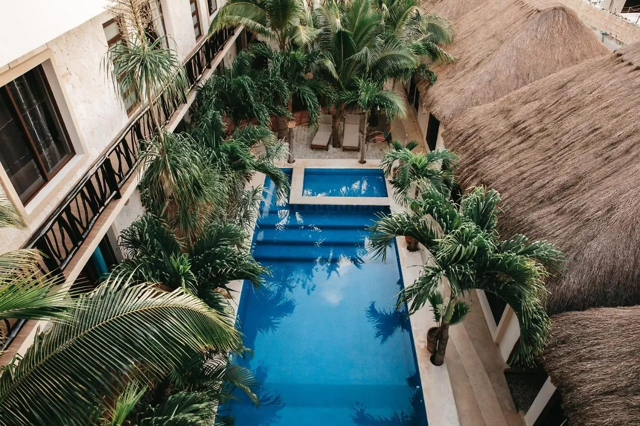 ***  Hotel Lechuga de Mar Tulum México